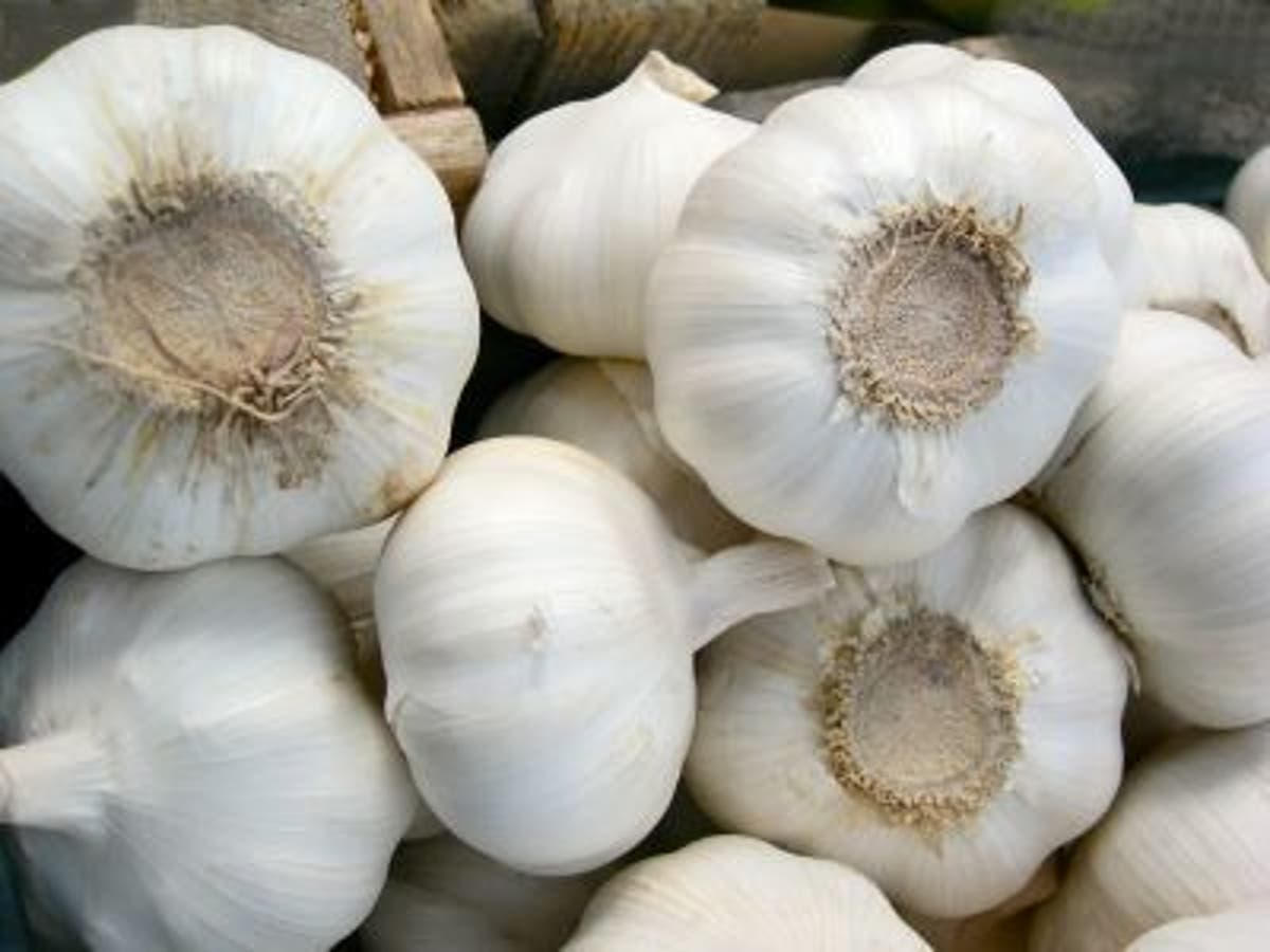 Boosting immunity can start naturally | The Independent | The Independent Boosting immunity can start naturally