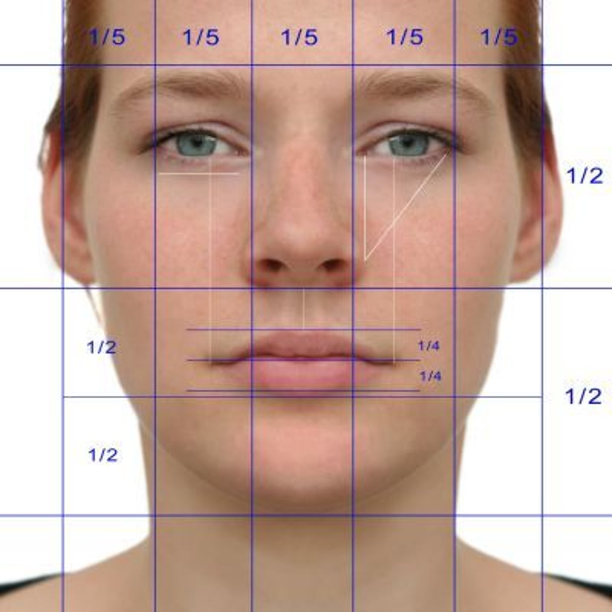 https://static.independent.co.uk/s3fs-public/thumbnails/image/2009/12/18/14/278984.jpg?fit=crop&height=1200&width=1200