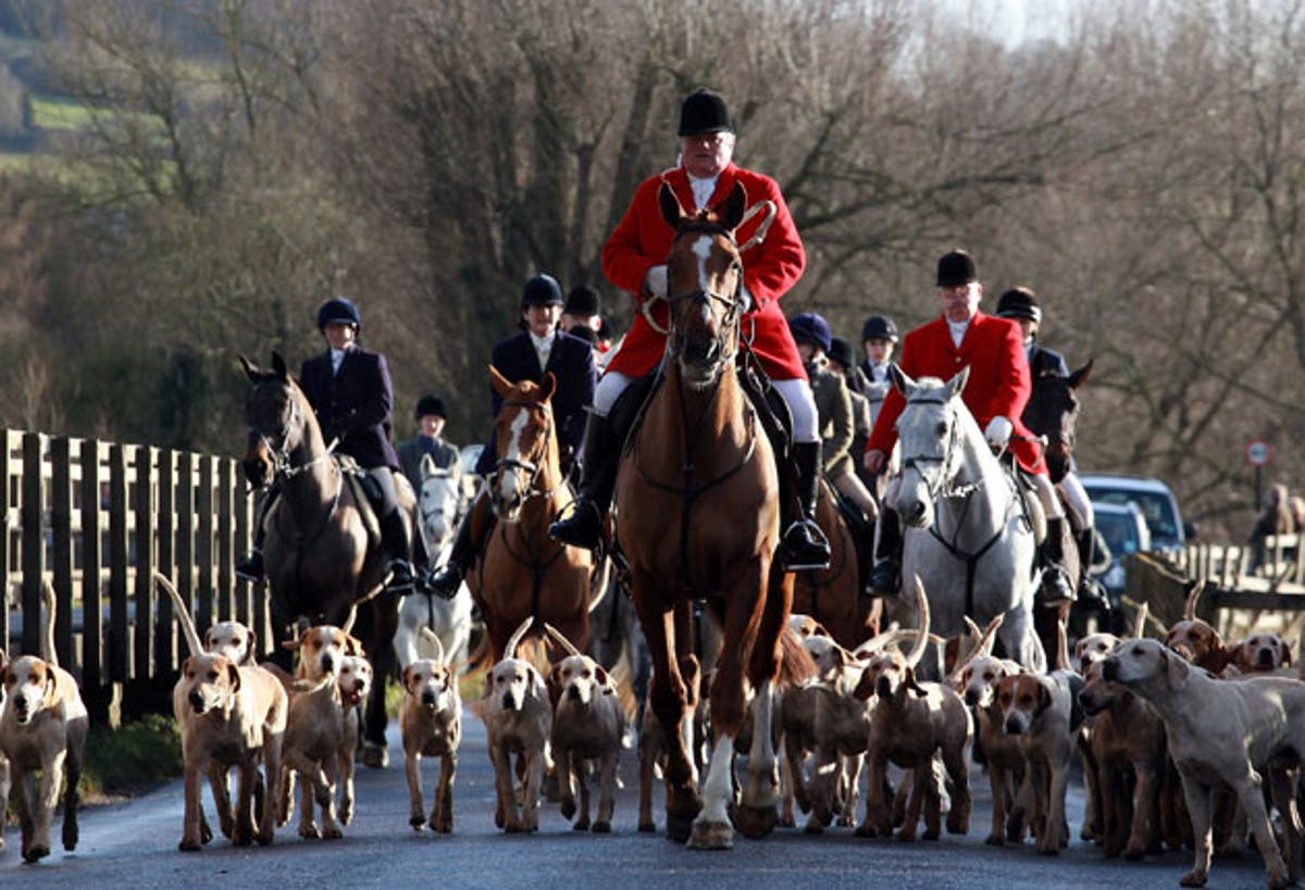 Tally ho! Hunt supporters turn out in force | The Independent | The ...