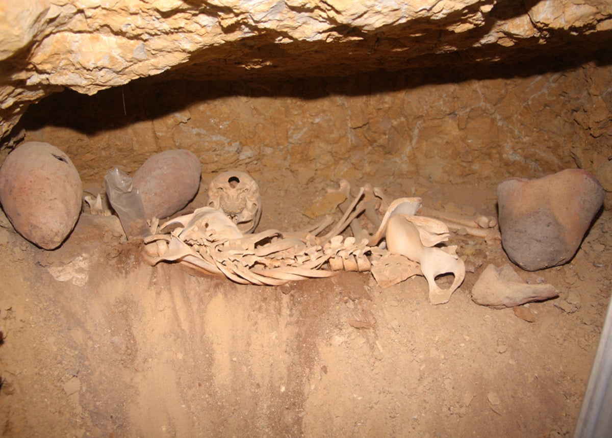 Tombs of the pyramid builders discovered in Giza, Egypt | The Independent |  The Independent