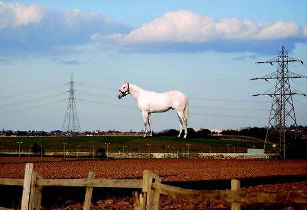 villagers-campaign-against-kent-s-giant-white-horse-the-independent