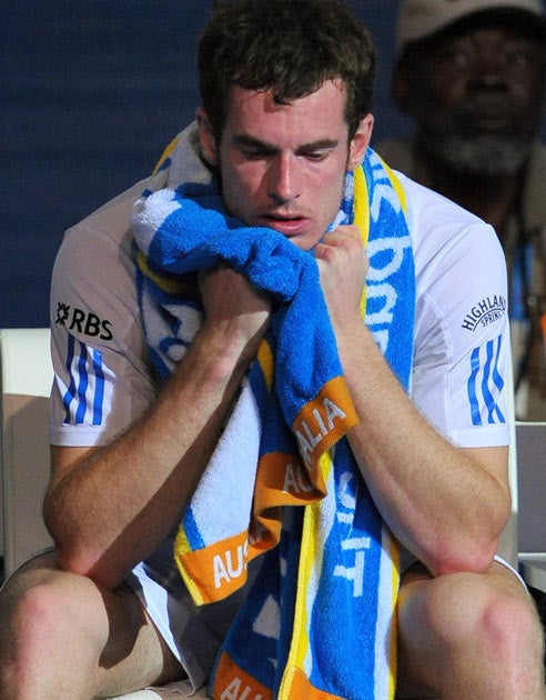 Murray is recopvering following his Australian Open defeat