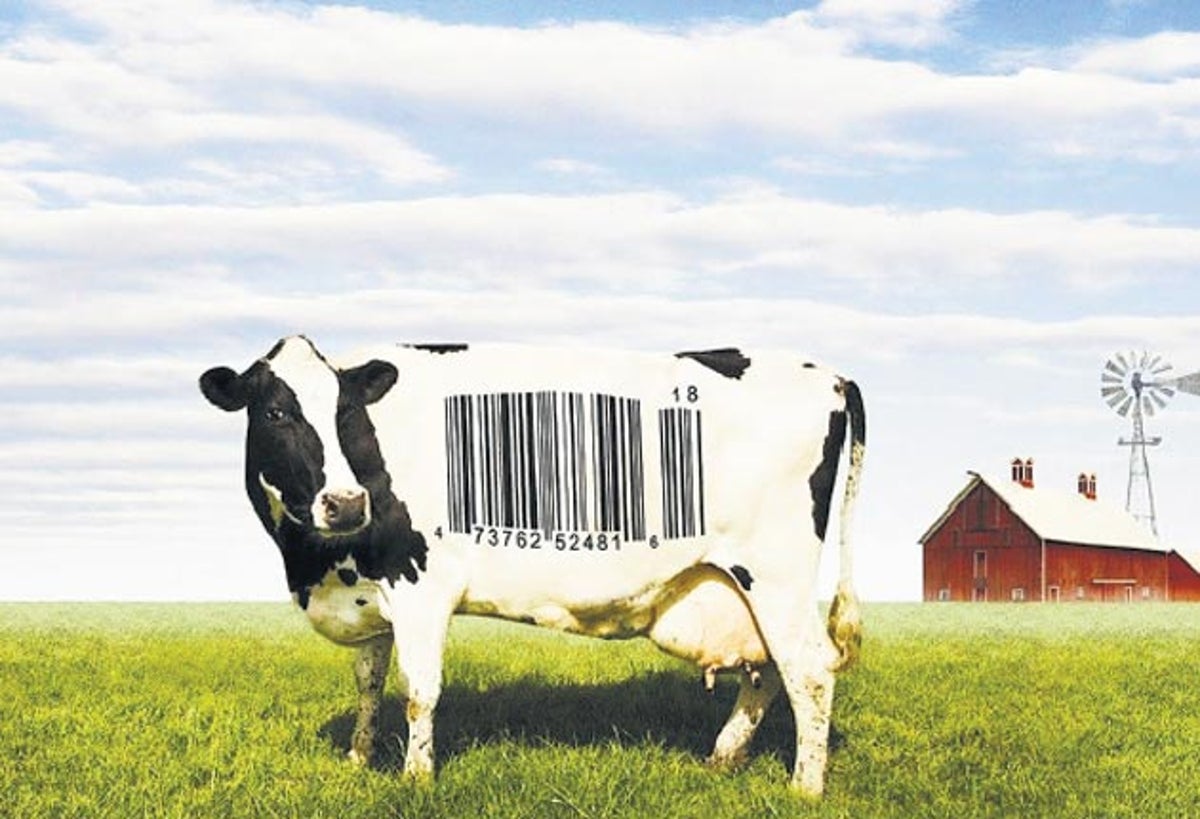 Food Inc Cow