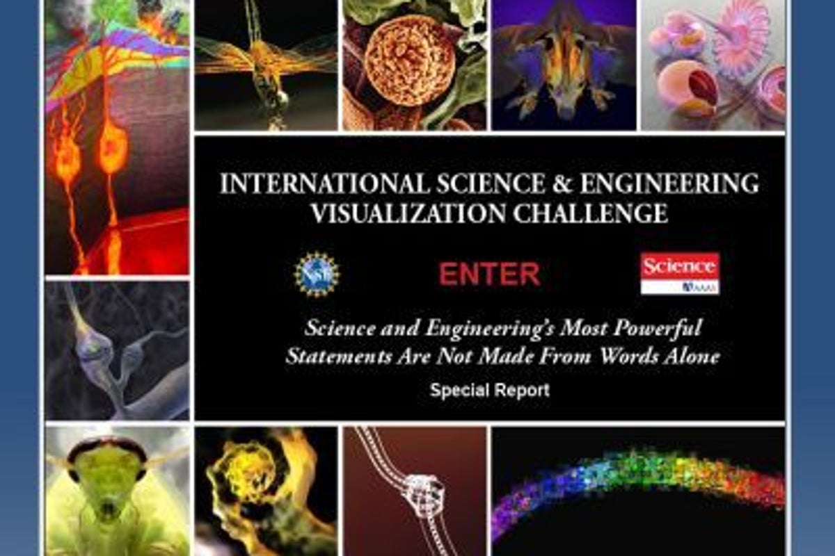 Scientific images magnify nature's inner beauty | The Independent | The ...