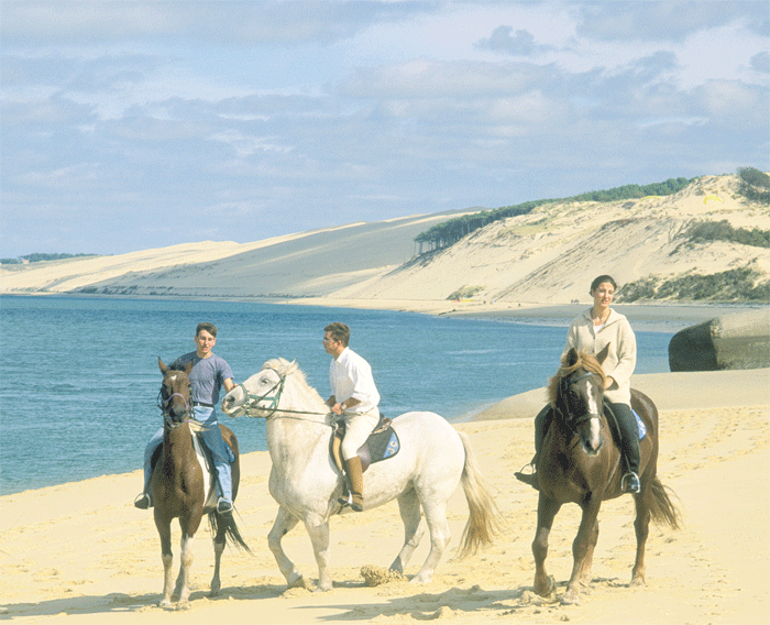 Pony tale: trekking is a great way to experience the shores of Aquitaine