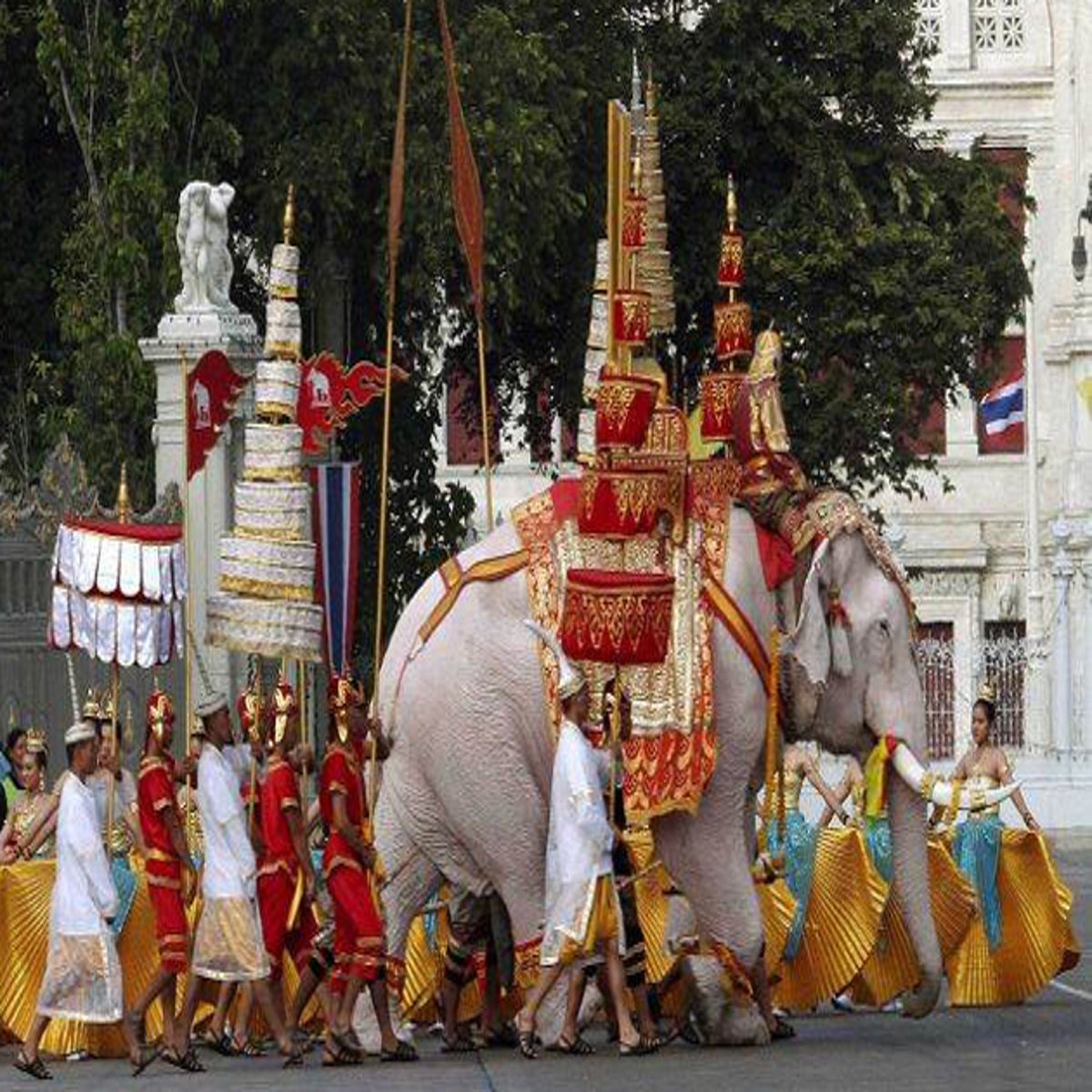 White Elephant, Thailand  Albino animals, Elephant, Rare albino animals