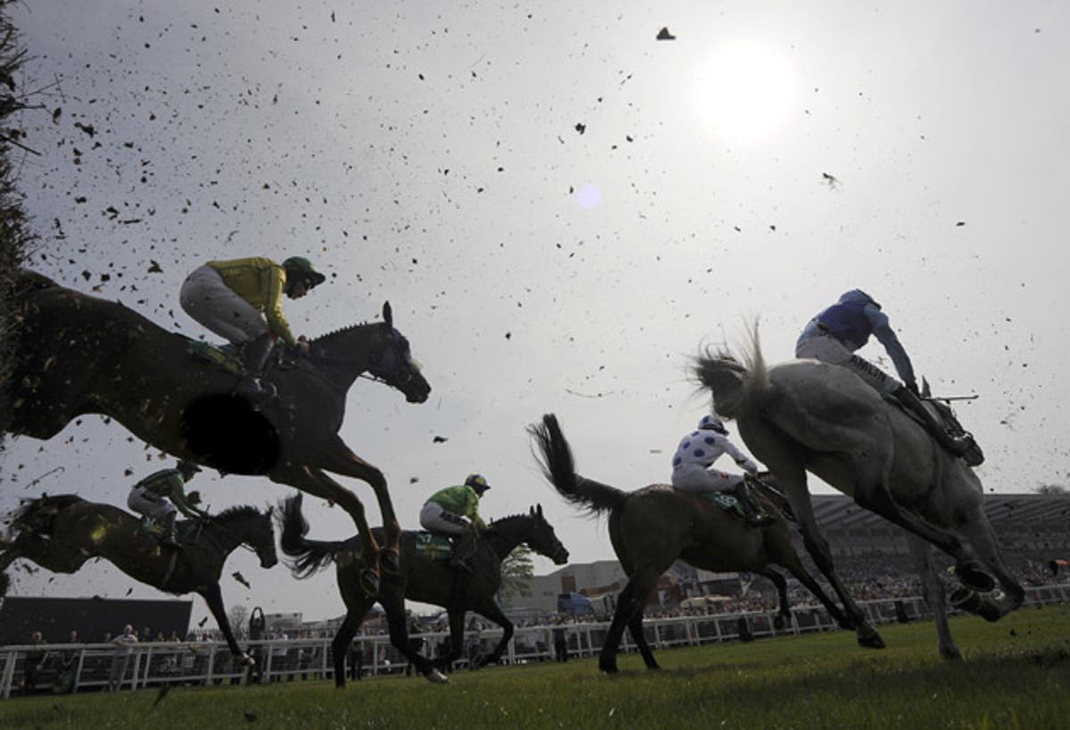 Glass Harmonium is smashing The Independent The Independent