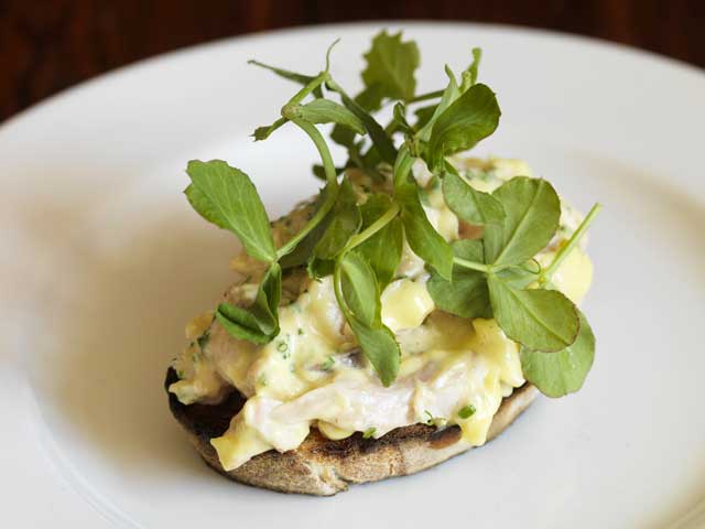 Sea trout on toast with pea tendrils also makes a great dinner party starter