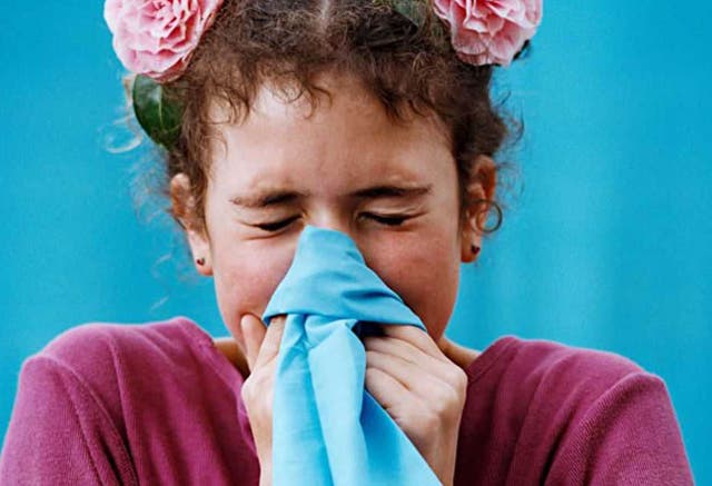 A long, cold winter followed by a warm spike immediately before summer means the likelihood of grass pollen meeting tree pollen is now considered to be high. 