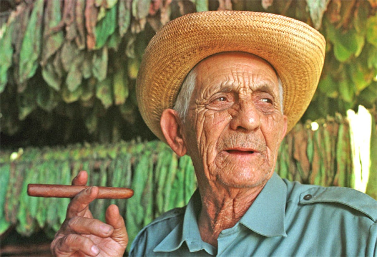 Alejandro Robaina: Tobacco farmer regarded as the godfather of the Cuban  cigar industry | The Independent