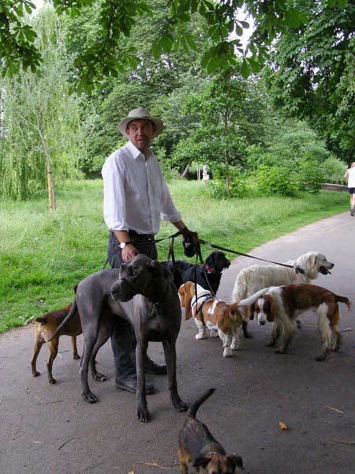 I Want Your Job Dog walker The Independent The Independent