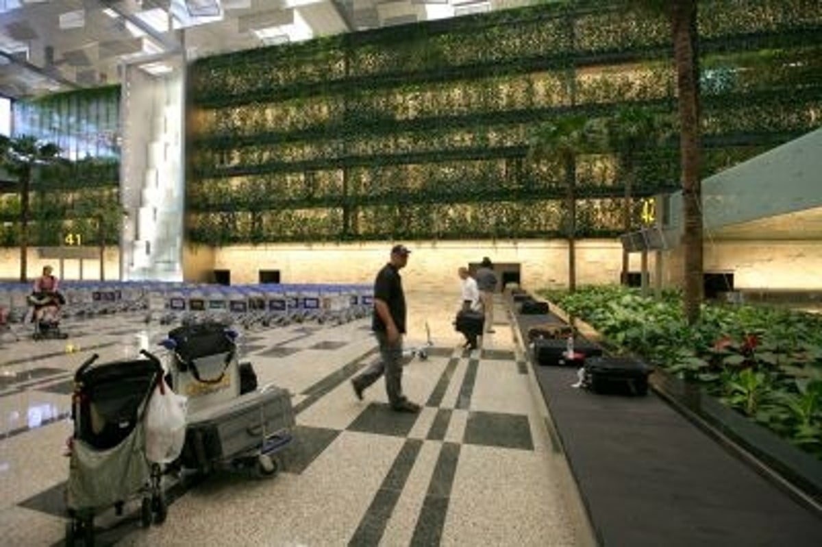 Singapore Changi Airport Terminal 3 Greenwall 