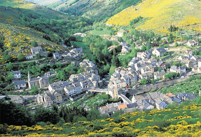 <p>The incident took place in the  Cévennes region of France (file photo)</p>