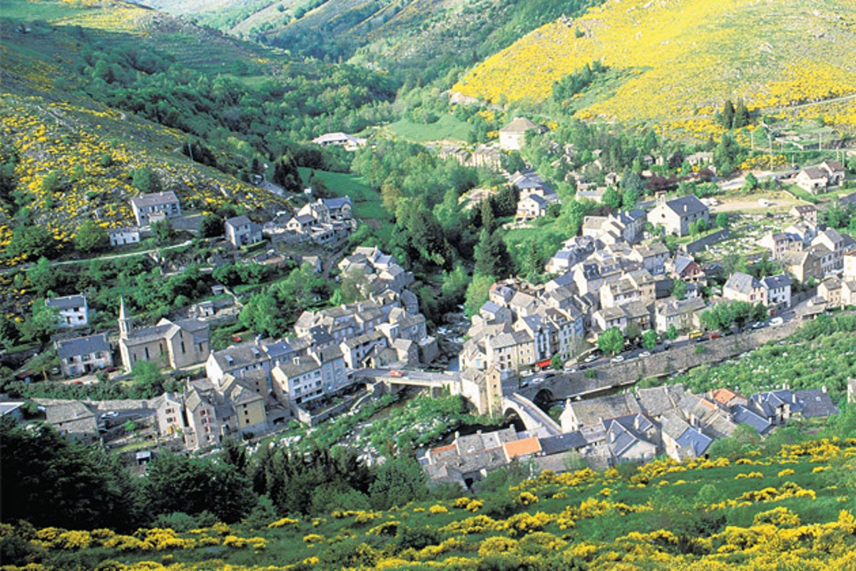 French cyclist, 77, survives for three days on wine after plunging 130ft down a ravine