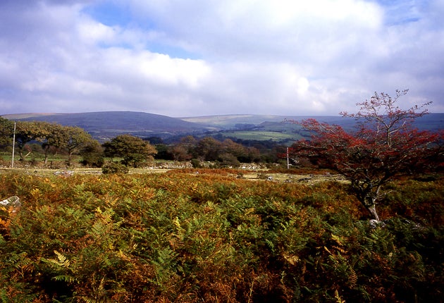 Head off for walks in Dartmoor