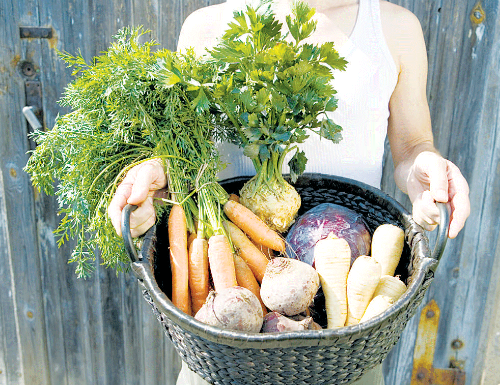 Source your food at local farmers’ markets