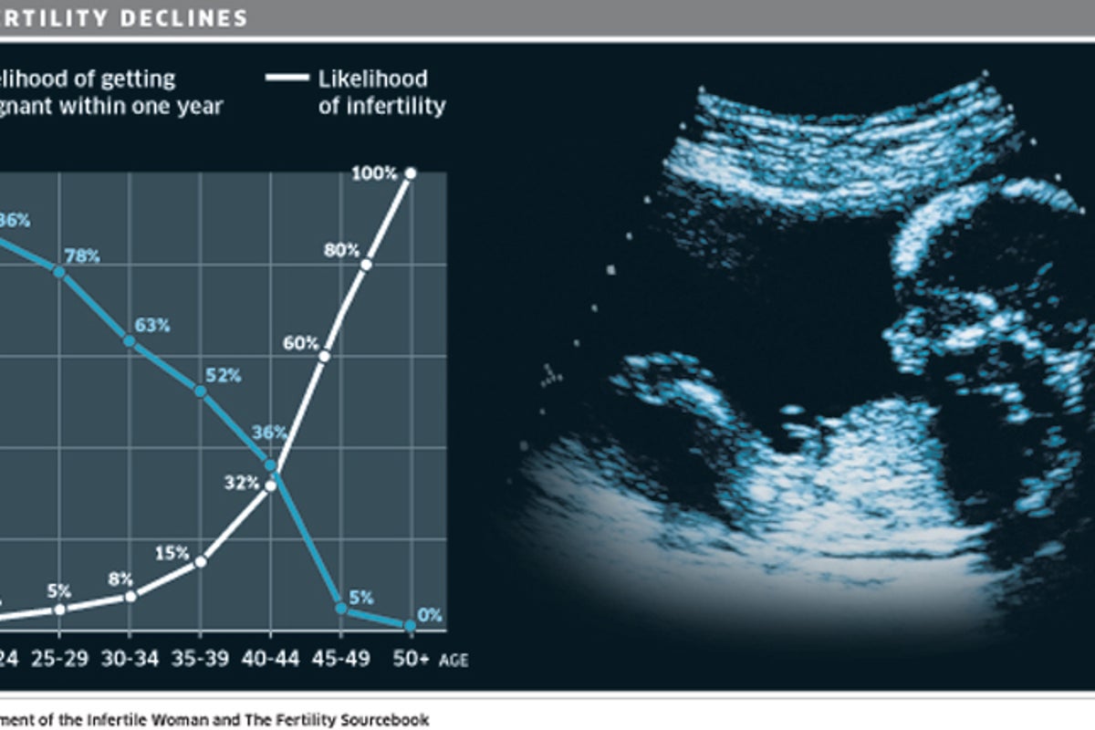 Revealed: why risk of infertility and birth defects rises with age ...