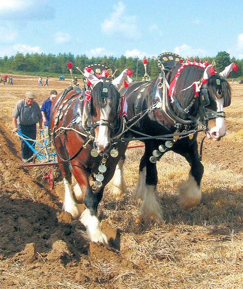Fair weather: the Surrey Ploughing and Country Fair