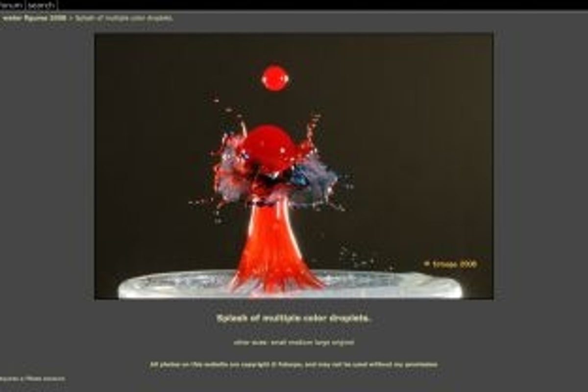 Weekly art websites: art made with water | The Independent | The ...