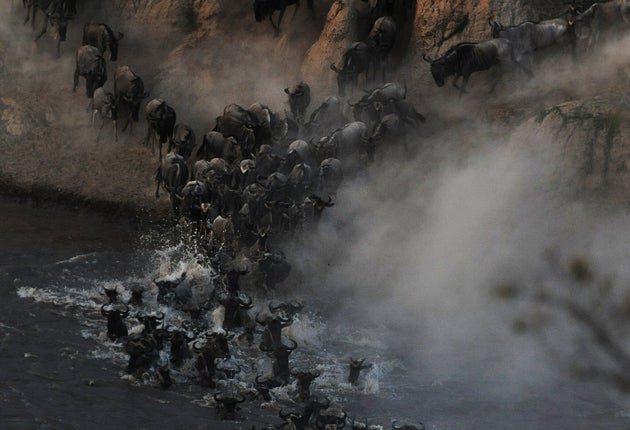 The wildebeest migration is not to be missed