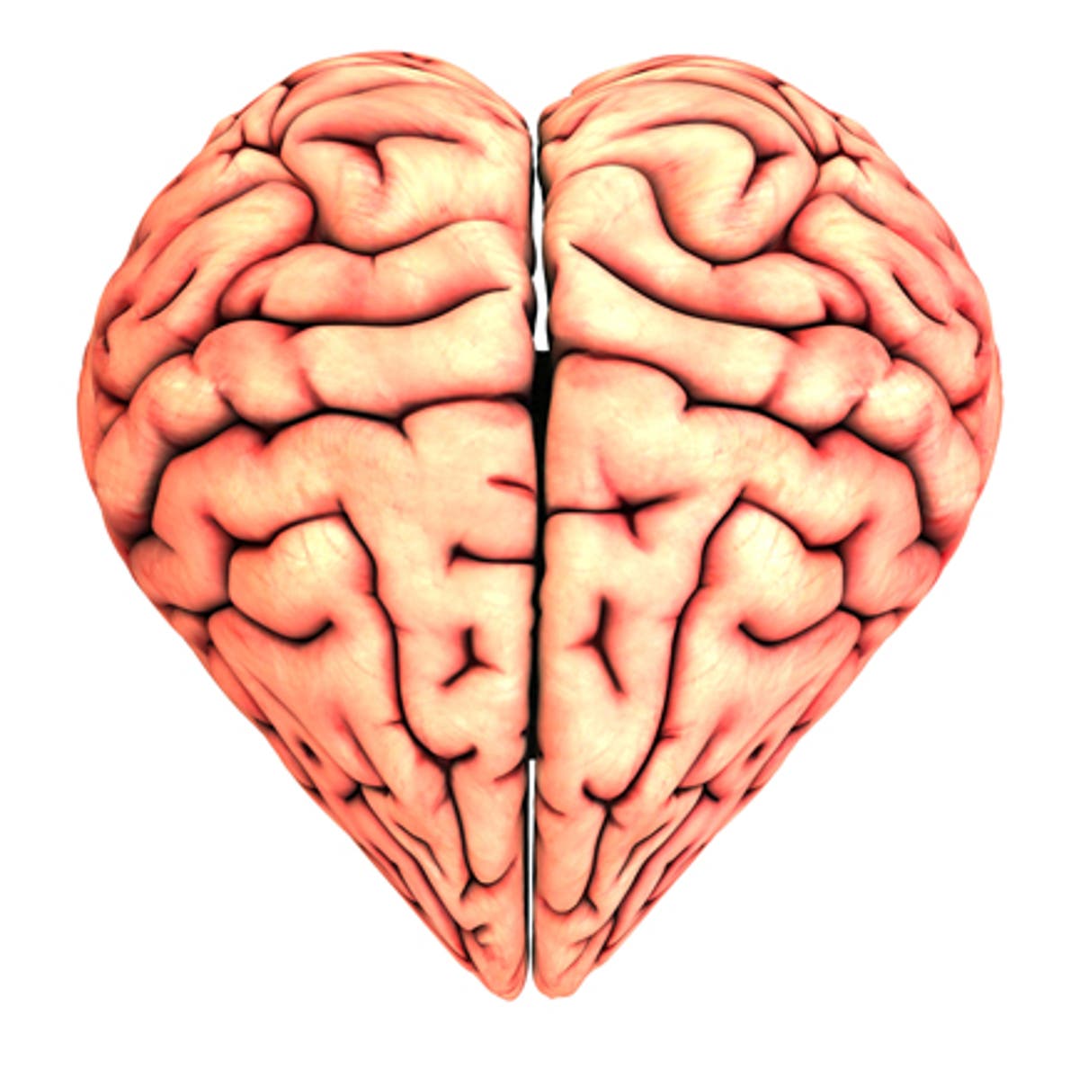 Love on the brain | The Independent | The Independent