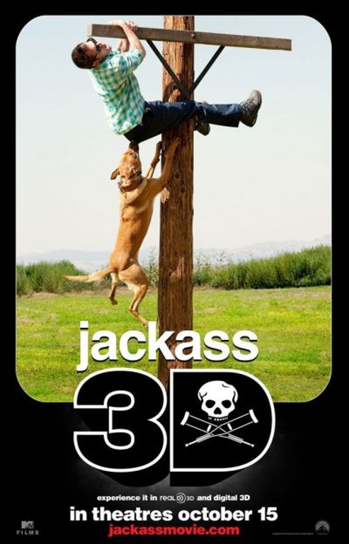 Stunt show 'Jackass' in 3D tackles box office | The Independent | The  Independent