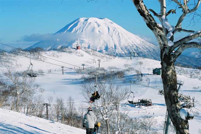 Try Niseko for a different cultural experience