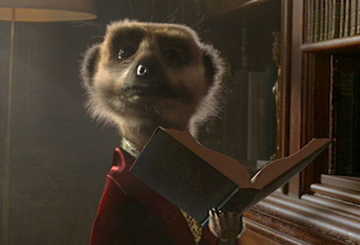 Compare the Market meerkat adverts pulled from TV over Russian invasion of Ukraine