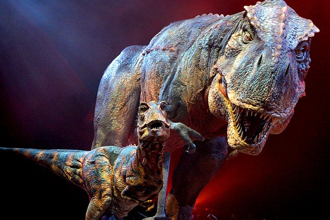 Tyrannosaurus rex would not have been able to outrun a speedy human,  research suggests, The Independent