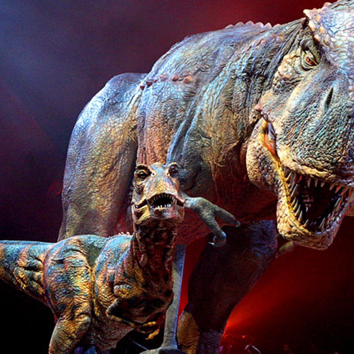How Fast Did T. rex Run?' and other questions about dinosaurs examined in new book : NPR
