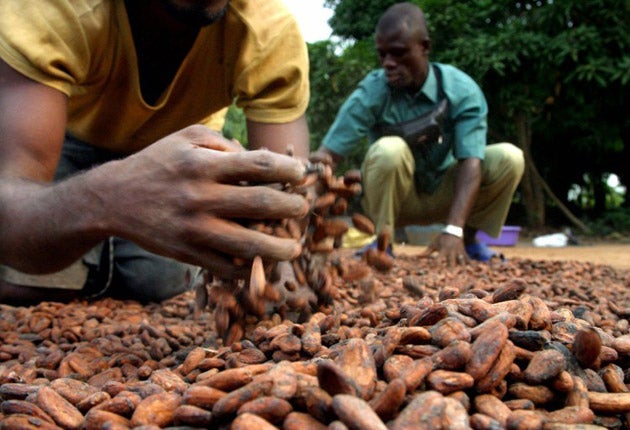 Forced labour and child labour are endemic in West African cocoa production.