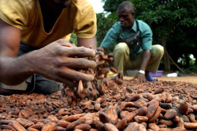 Forced labour and child labour are endemic in West African cocoa production.