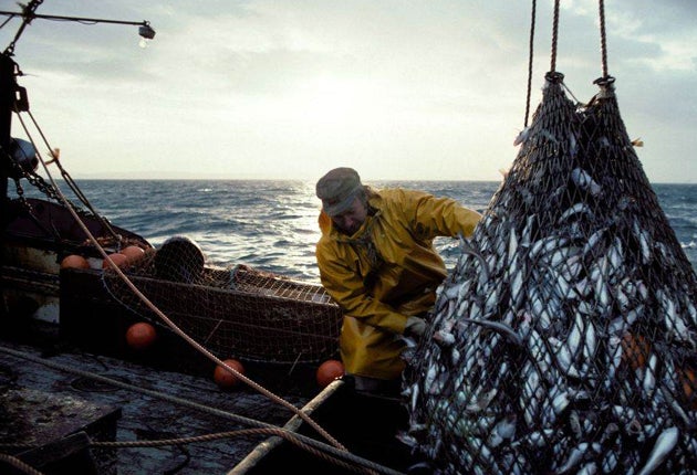 Anglers blame indiscriminate trawlers for overfishing