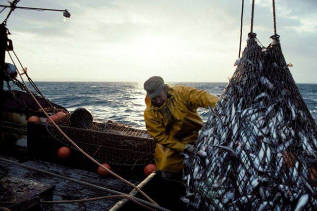 Anglers blame indiscriminate trawlers for overfishing