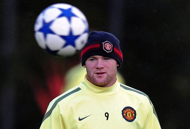 Ferguson was eager to praise Rooney