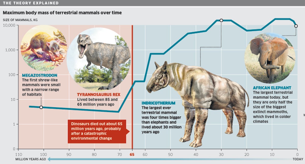 How the demise of the dinosaurs led to super-sized mammals | The  Independent | The Independent