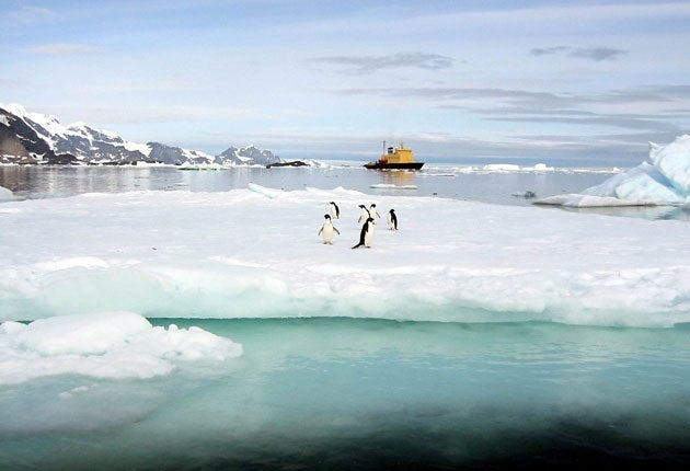 Follow in the footsteps of Scott, Shackleton and co on an expedition cruise to Antarctica