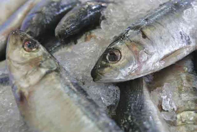 Eating two portions of oily fish a week could help ward off a stroke