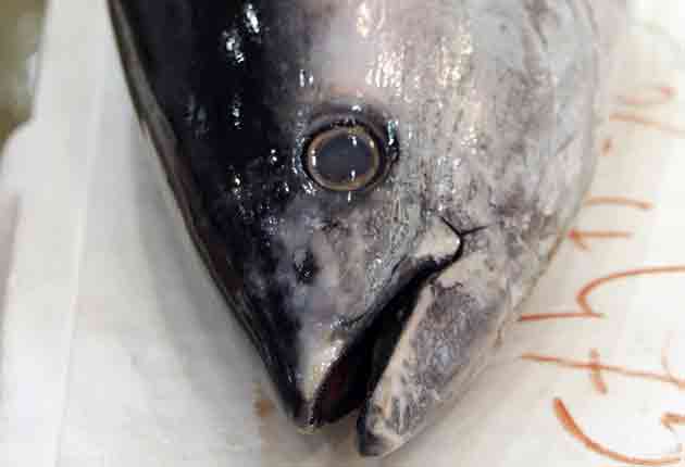 Princes is responsible for more than 40 per cent of tuna tins sold in the UK