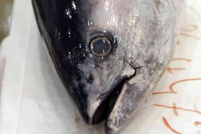 Princes is responsible for more than 40 per cent of tuna tins sold in the UK