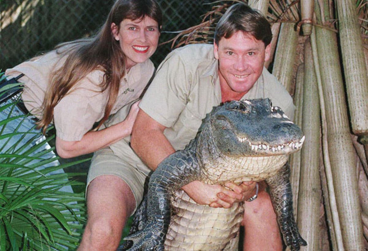 Crocodile Hunter's zoo battling to remain open | The Independent | The ...