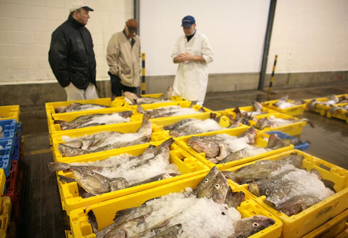 Government hits out at EU fishing rules The Independent The Independent