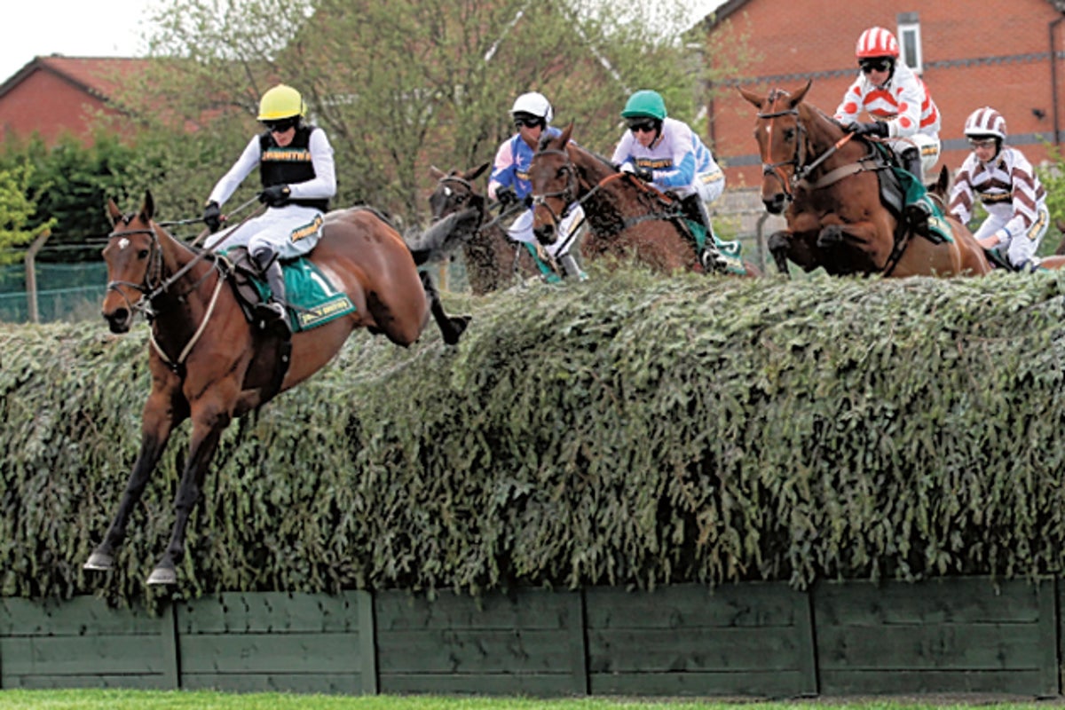Big Buck's bestrides day of twists in form and fortunes | The ...