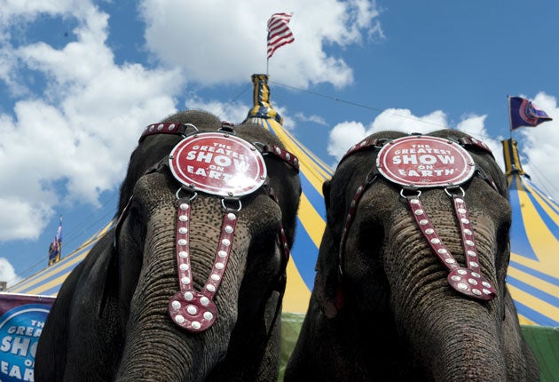 Ringling Bros. and Barnum & Bailey Circus is ending, after a 150 year run