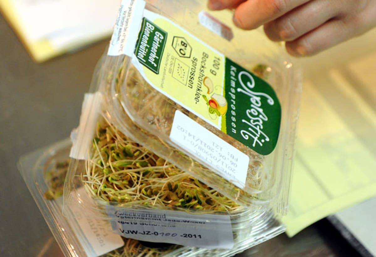 'No trace' of E.coli at bean sprout farm suspected as German source