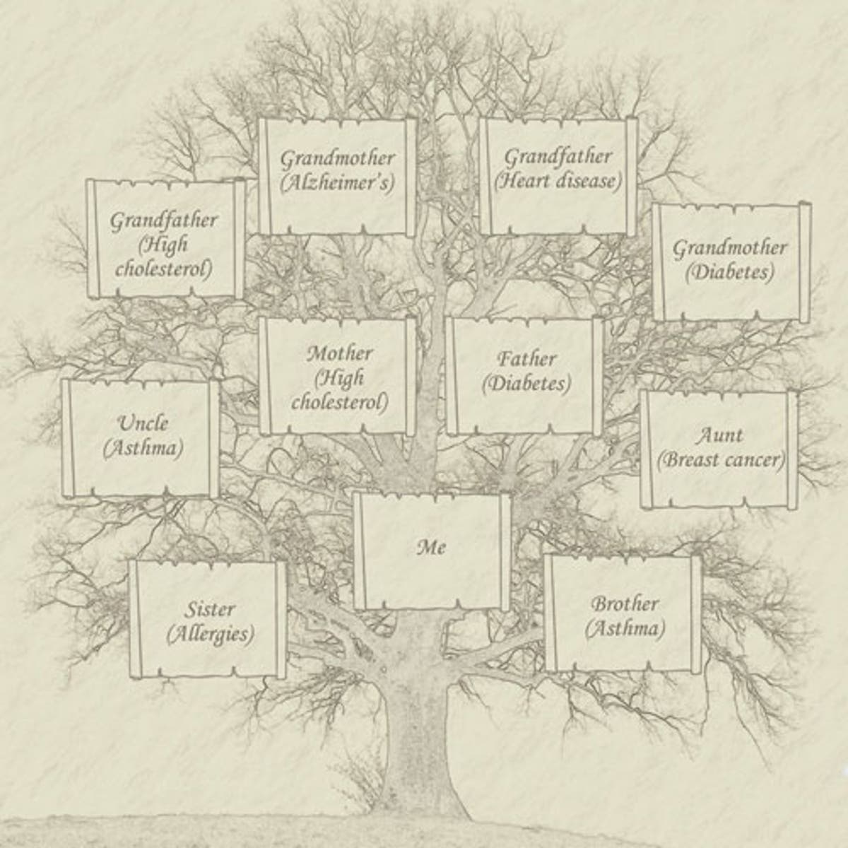 How a family tree can save your life | The Independent | The Independent