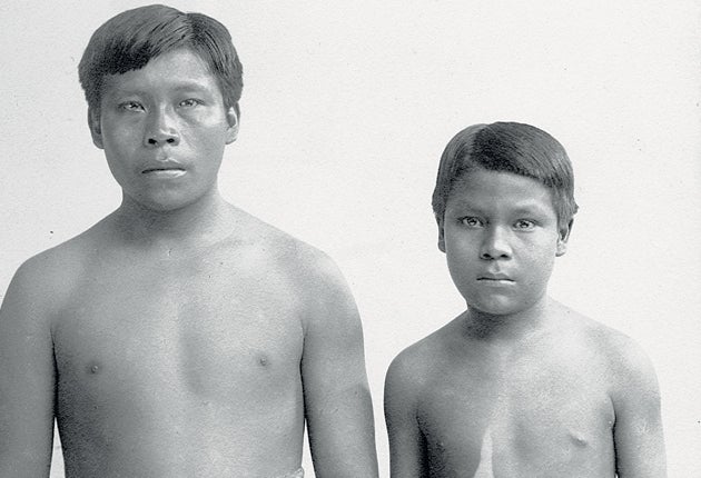 Omarino and Ricudo were two Witoto slaves brought to Britain in 1911; they were among thousands who suffered brutal treatment and injuries during South America’s rubber boom