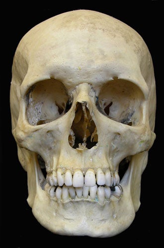 London officials found a bag containing two human skulls left behind on the Tube.