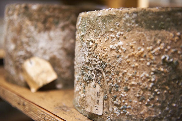 Goodwood Farm Shop<br/>

Lulu describes this farm shop, set in the beautiful Goodwood Estate, as 'fantastic'. It sell its own organic fruit and veg 'and even its own cheese - the Charlton - and organic raw milk.'<br/>

Where: Goodwood Estate, Chichester,