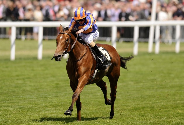 The Aidan O'Brien-trained 'Maybe' is favourite for next year's 1,000 Guineas